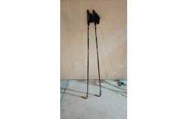 BATONS MARCHE NORDIQUE TAILLE 120